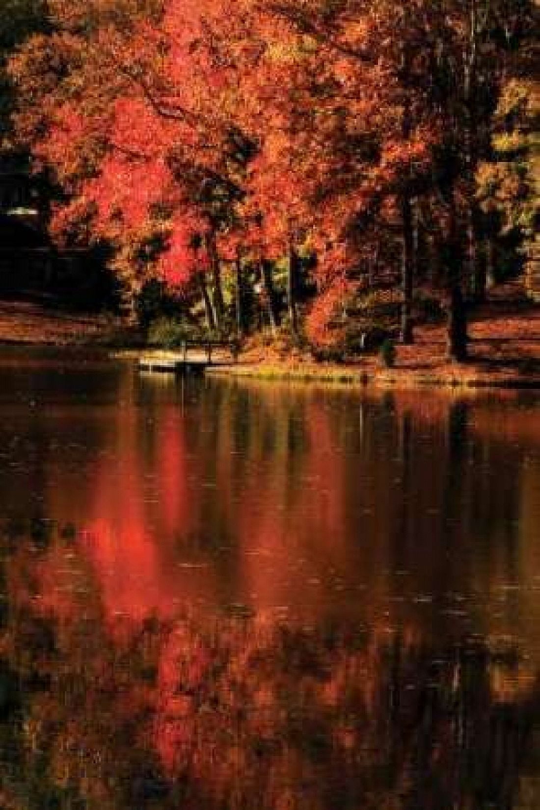 Red Reflections Canvas Art - Alan Hausenflock (12 x 18)