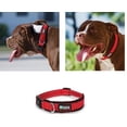 thumbnail image 1 of Red Reflective Paracord Rope Weave Fashionable Durable Secure Buckle Dog Collar (19 To 26 Inches), 1 of 4
