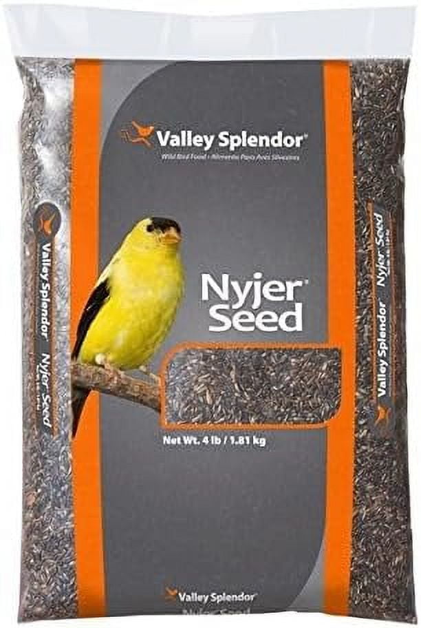 Red River 00171 Valley Splendor Nyjer Thistle Bird Seed, 4 Pounds