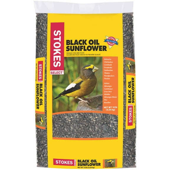 Red River Commodities Sunflower Seed Bird Food - Black Oil, 10 Lbs