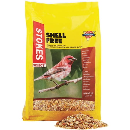 Red River Commodities Shell Free Bird Seed - For Finches, All Lifestages - 5 lbs Bag