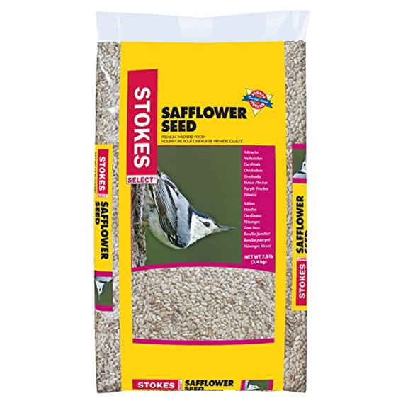 Red River Commodities Safflower Bird Seed Stokes Select - For Cardinals, All Lifestages - Pack Of 1
