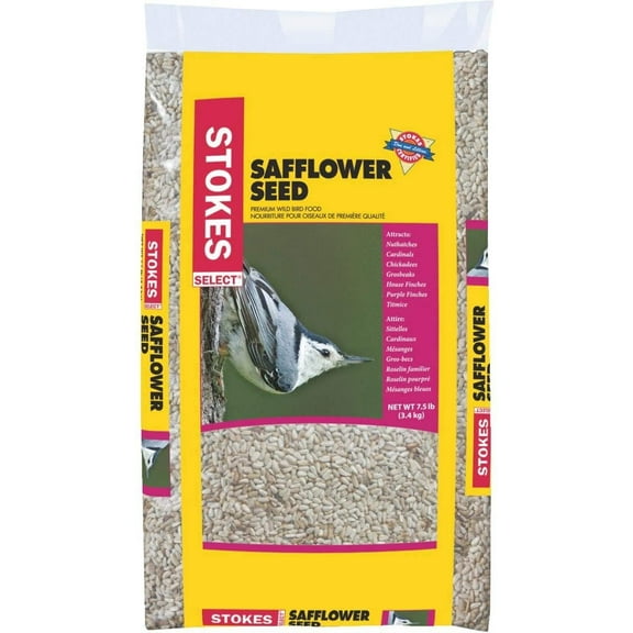 Red River Commodities Safflower Bird Seed Stokes Select - For Cardinals, All Lifestages - Pack Of 1
