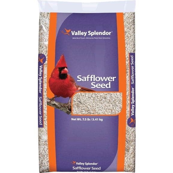Red River Commodities Valley Splendor Safflower Seed Wild Bird Food - Pack of 4