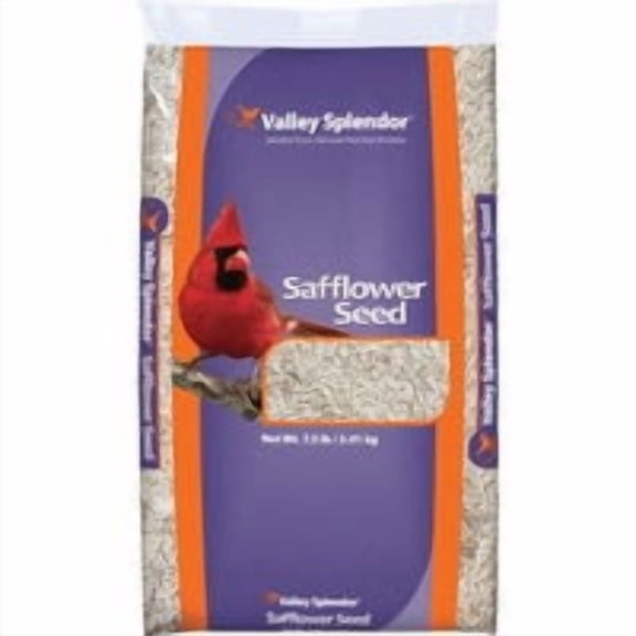 Red River Commodities Valley Splendor Safflower Seed Wild Bird Food - Pack of 6