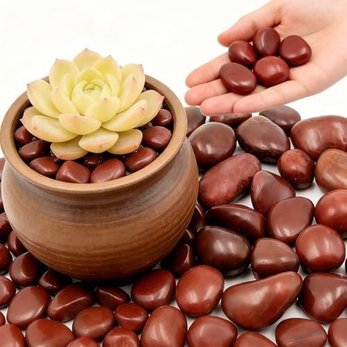 Red River Rocks Outdoor Landscaping,1-2 Inch,6LB Polished Pebble