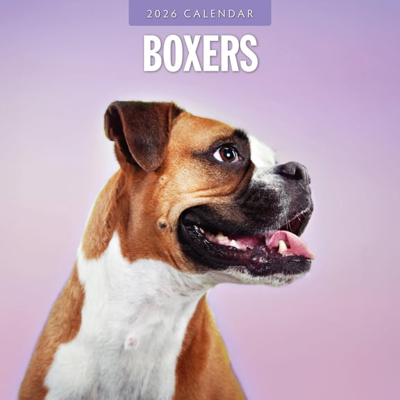 Red Robin 2026 Boxers Monthly Wall Calendar | 12" x 24" Open | Premium Thick & Sturdy Paper | Hangable 12 Month Calendar | Lined Notes & To Do Area | Vivid Images | Plastic Free