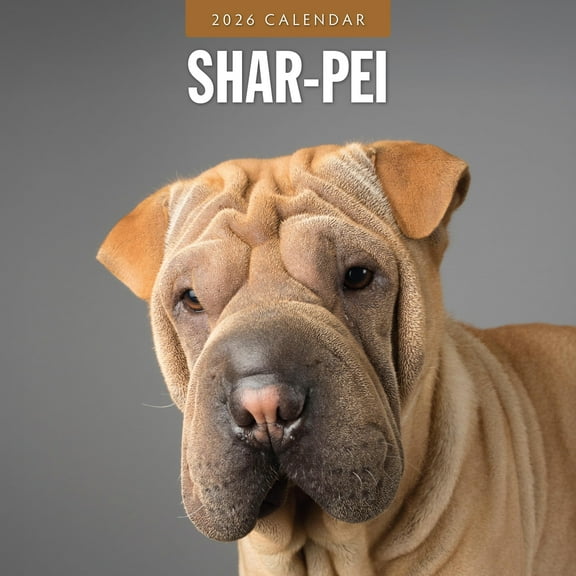 Red Robin 2026 Shar-Pei Monthly Wall Calendar | 12" x 24" Open | Premium Thick & Sturdy Paper | Hangable 12 Month Calendar | Lined Notes & To Do Area | Vivid Images | Plastic Free