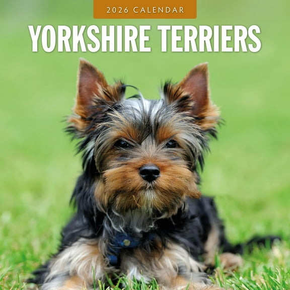 Red Robin 2026 Yorkshire Terriers Monthly Wall Calendar | 12" x 24" Open | Premium Thick & Sturdy Paper | Hangable 12 Month Calendar | Lined Notes & To Do Area | Vivid Images | Plastic Free