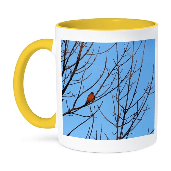 3dRose, Red Robin in Tree, 11oz Two-Tone Yellow Mug