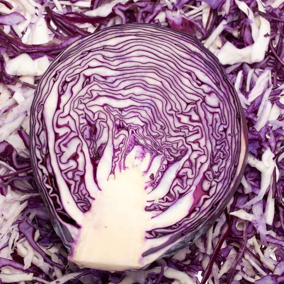 Red Rock Mammoth Cabbage Seeds: 4 g Packet ~900 Seeds - Non-GMO, Chemical Free Sprouting Seeds for Vegetable Gardening & Growing Microgreens