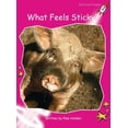 thumbnail image 1 of Red Rocket (Tm) Readers Emergent Level What Feels Sticky?, (Paperback), 1 of 1
