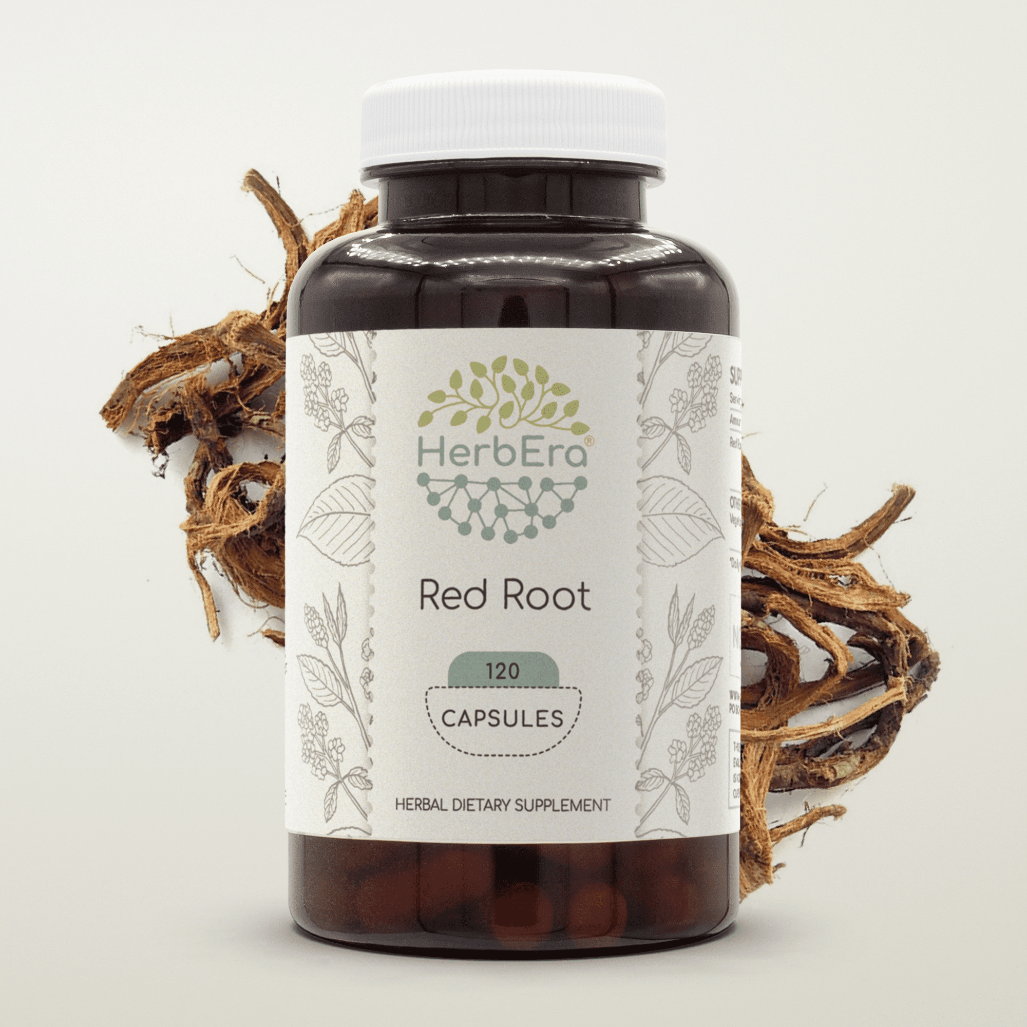 HerbEra Red Root Capsules, Herbal Dietary Supplement for Lymphatic ...