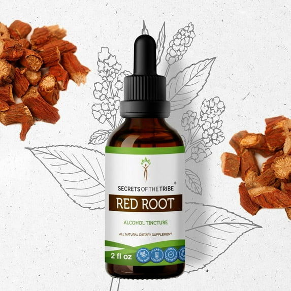 Secrets Of The Tribe Red Root Tincture Dietary Supplement, Natural Herbal Extract for Lymphatic System Support, Red Root (Ceanothus Americanus) Dried Root, Alcohol Extract, Drops 2 oz