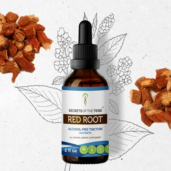 Secrets Of The Tribe Red Root Tincture Dietary Supplement, Natural Herbal Extract for Lymphatic System Support, Red Root (Ceanothus Americanus) Dried Root, Alcohol-Free Extract, Drops 2 oz
