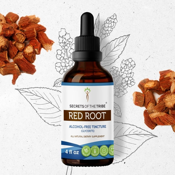 Secrets Of The Tribe Red Root Tincture Dietary Supplement, Natural Herbal Extract for Lymphatic System Support, Red Root (Ceanothus Americanus) Dried Root, Alcohol-Free Extract, Drops 4 oz