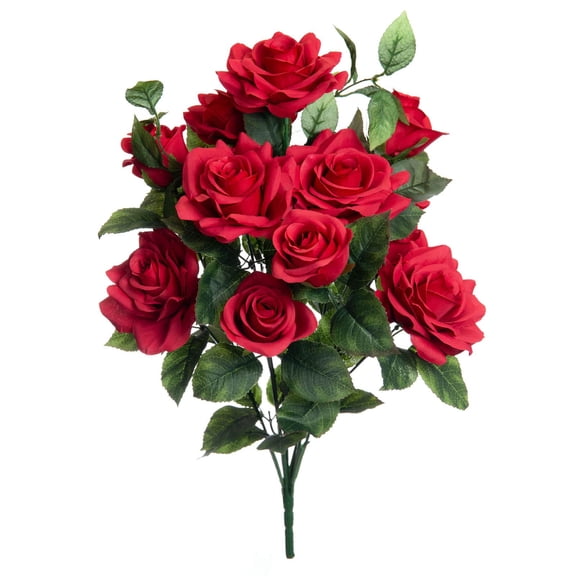Red Rose Bush by Ashland