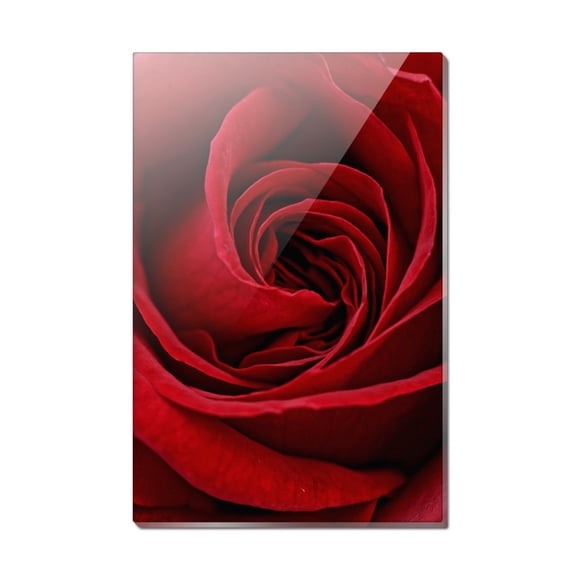 Red Rose Close-up Rectangle Acrylic Fridge Refrigerator Magnet