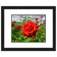 thumbnail image 1 of Red Rose, Flower Framed Photo by Photo File, 1 of 1