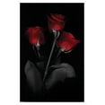 thumbnail image 1 of Red Rose Wall Poster, 14.725" x 22.375", Framed, 1 of 3