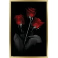 thumbnail image 1 of Red Rose Wall Poster, 22.375" x 34", Framed, 1 of 5