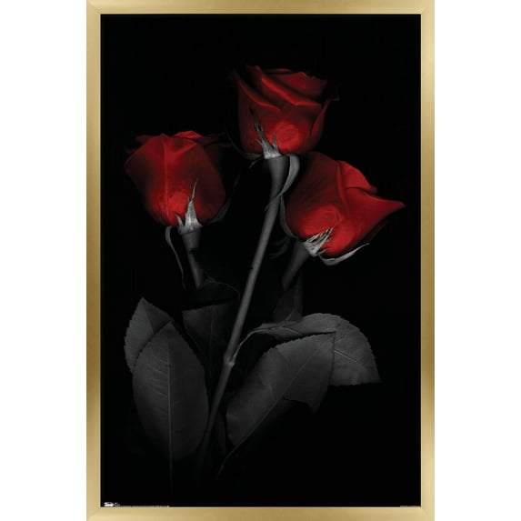 Red Rose Wall Poster, 22.375" x 34", Framed
