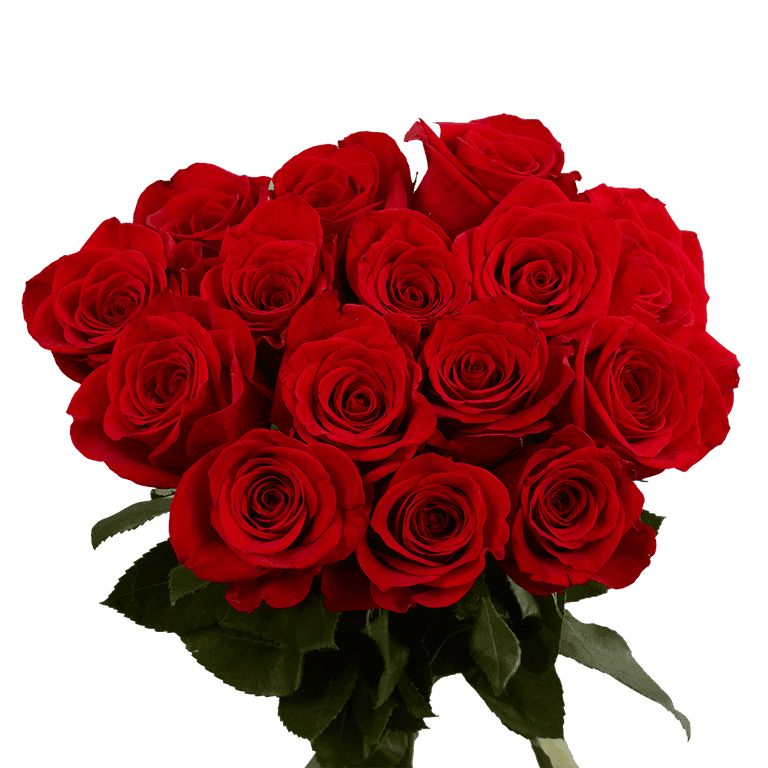 Pink Roses- 50 Fresh Flowers- Lovely Gift