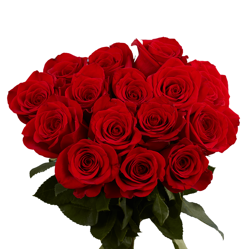 Red Roses- 50 Fresh Flowers for Birthdays, Weddings or Anniversary - image 1 of 4