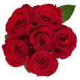 thumbnail image 1 of Red Roses 6 Stem, 1 of 4