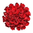 thumbnail image 1 of Red Roses - Farm Direct Fresh Cut Flowers - 50 Stems - by Bloomingmore, 1 of 9