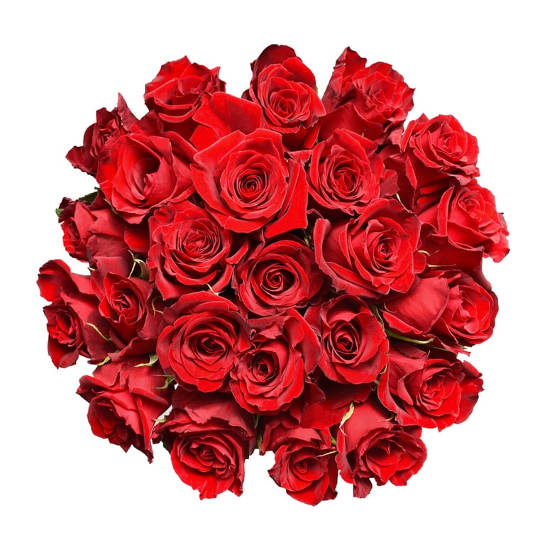 Premium Red Roses by Bloomingmore - 50 Stems, Real Fresh Cut