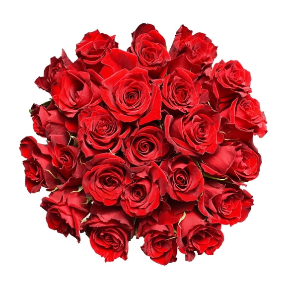 Bloomingmore, Farm Direct Fresh Cut Flowers, Red Roses, 50 Stems