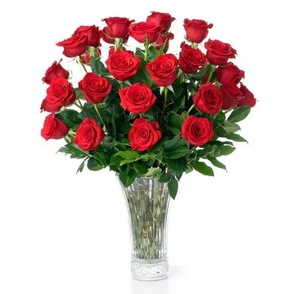 Red Roses Fresh Flowers Delivery - 1 Dozen Roses for Delivery/Farmhouse Flowers for Delivery - Fresh Cut Long Stem Roses Bouquet of Flowers Birthday Gifts for Women -Aquarossa Farms