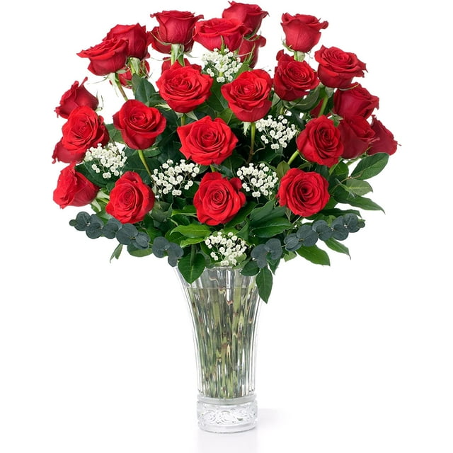 Red Roses Fresh Flowers Delivery 2 Dozen Roses for Delivery/Farmhouse