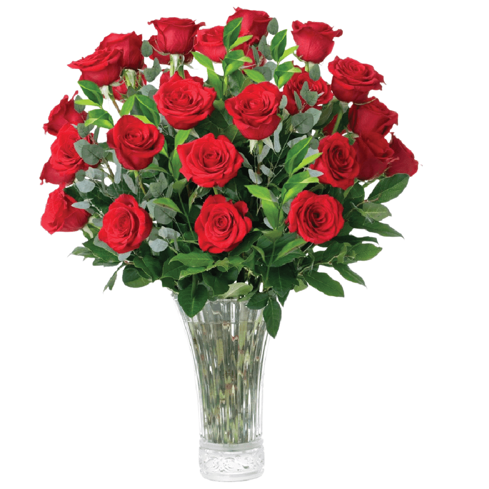 Red Roses Fresh Flowers Delivery - 4 Dozen Roses for Delivery/Farmhouse Flowers for Delivery - Fresh Cut Long Stem Roses Bouquet of Flowers Birthday Gifts for Women - Aquarossa Farms