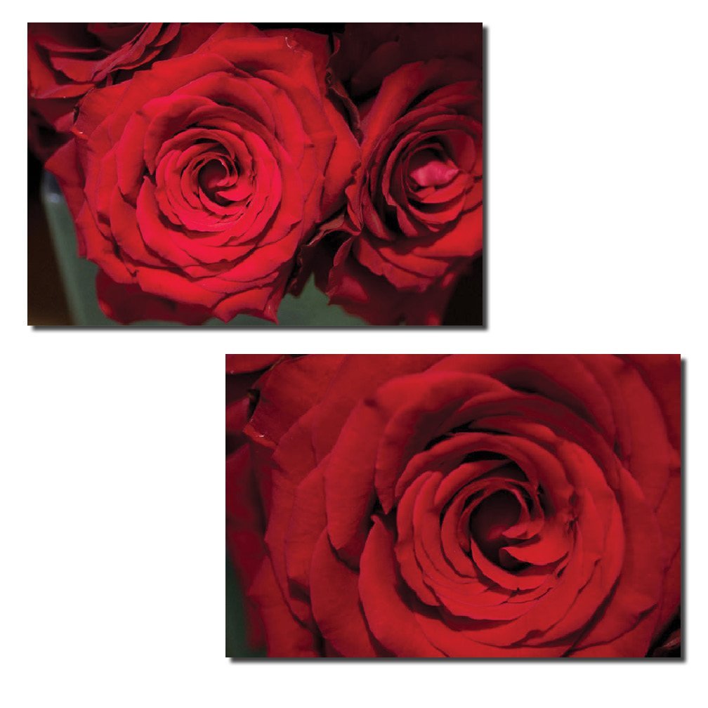 Red Roz Print Red Roses | Gorgeous Blooming Red Roses Floral Photograph Print; Two ...