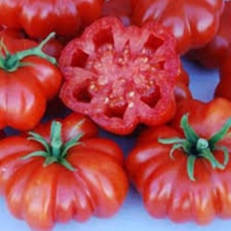 25 Steep Hill Garden Red Rosso Sicilian Tomato Seeds - Heirloom Italian, Ribbed Sauce Tomato, Annual, Full Sun, Vegetable