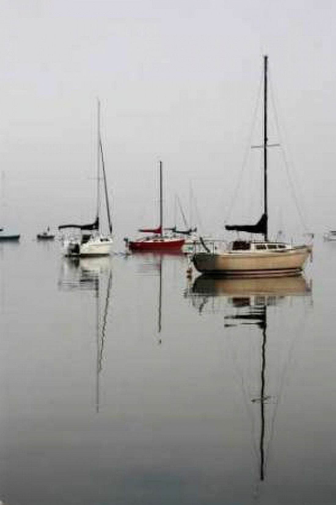 Red Sailboat I Canvas Art - Tammy Putman (20 x 28)