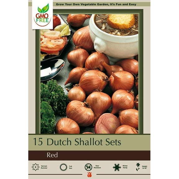 Red Shallots - Preferred by Chefs - 15 Bulbs 9/15 cm