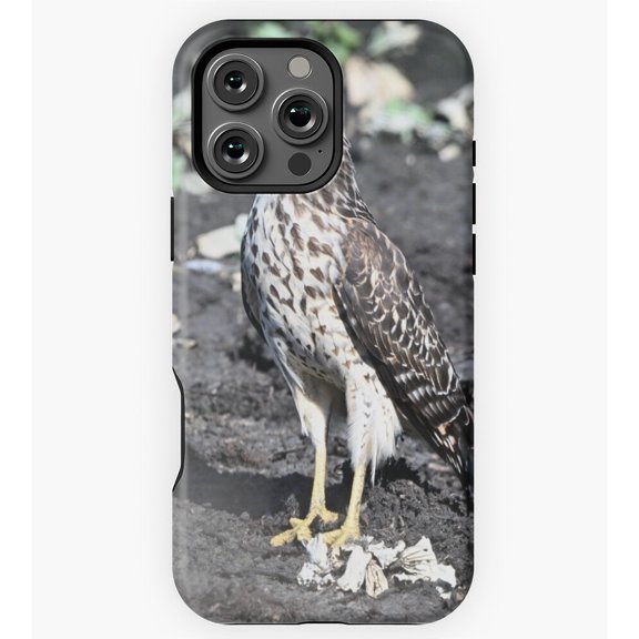 Red-Shouldered Hawk Bird GA1049 Phone Case for iPhone 11 to 17 Pro Max