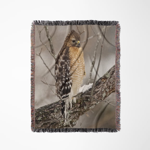 Red-Shouldered Hawk, Bird, Kentucky - Us18 Aje0490 - Adam Jones, Woven Blanket