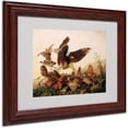 thumbnail image 1 of "Red-Shouldered Hawk" Canvas Art by John James Audubon, Wood Frame, 1 of 3