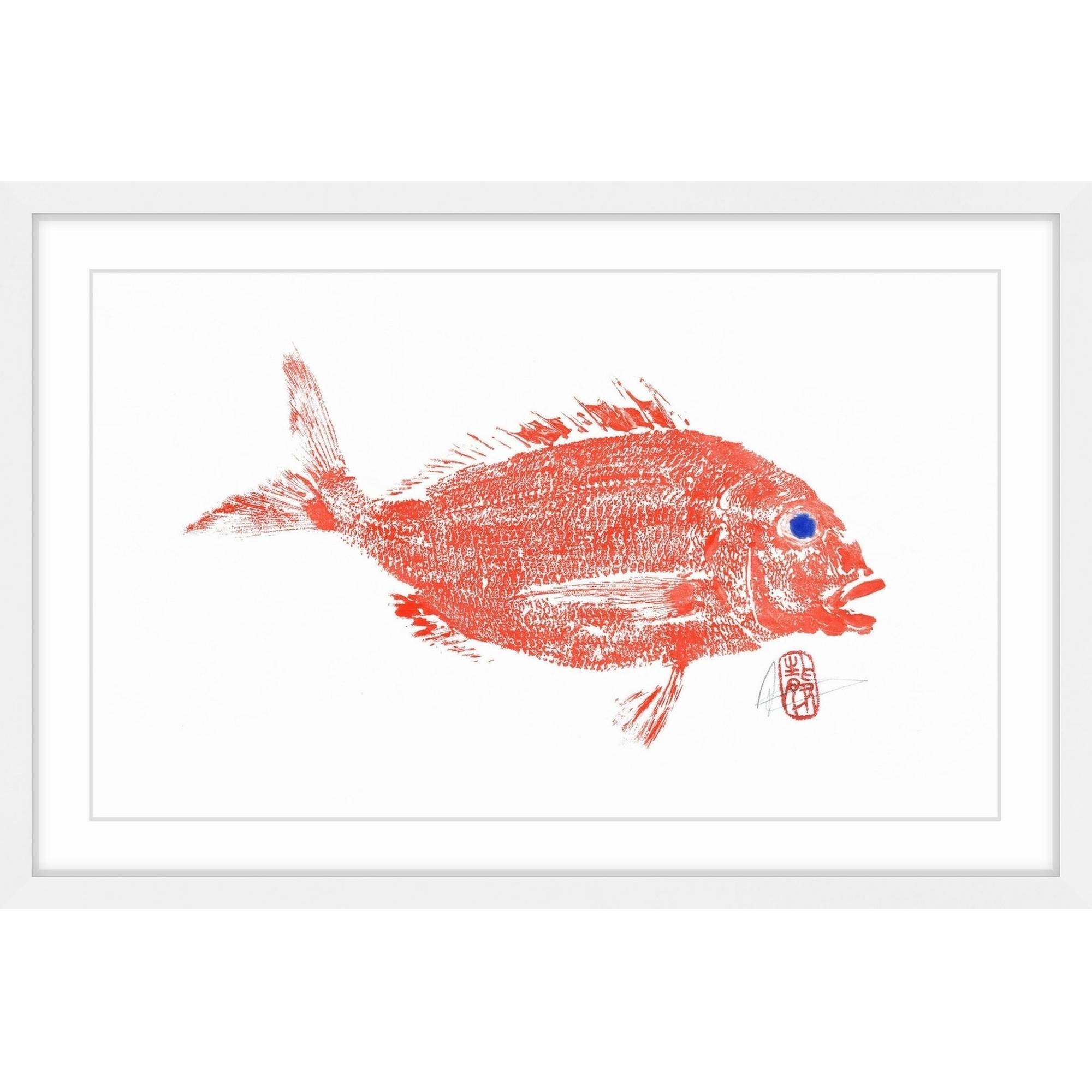 Red Snapper Framed Canvas Print in White Frame