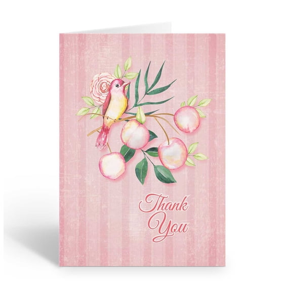 Red Sparrow Bird Thank You Note Card - 10 Thank You Note Cards and Envelopes - B