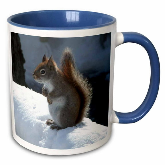 3drose, Red Squirrel in the Snow, 11oz Two-tone Blue Mug