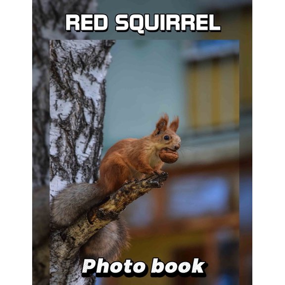 Red Squirrel Photo Book: 40 Stunning Images Capturing Nature's Playful Rodent For Animal Lovers and Enthusiasts, (Paperback)