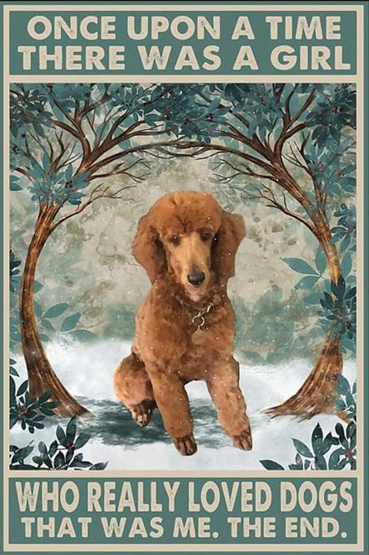 Once Upon A Time Softball Tin Sign - 6x8 Inch Metal Wall Decor For Girls Room & Sports Decor