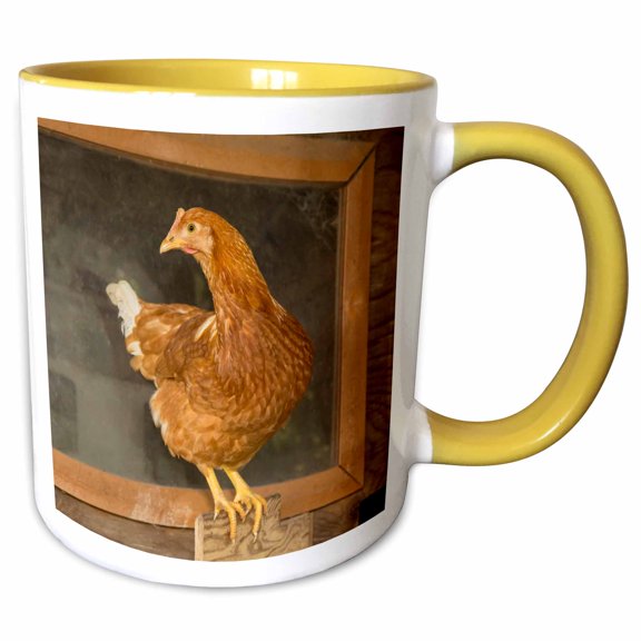 3drose, Red Star, or Golden Buff, Comet, Golden Comet, Isa Brown,hen., 11oz Two-tone Yellow Mug
