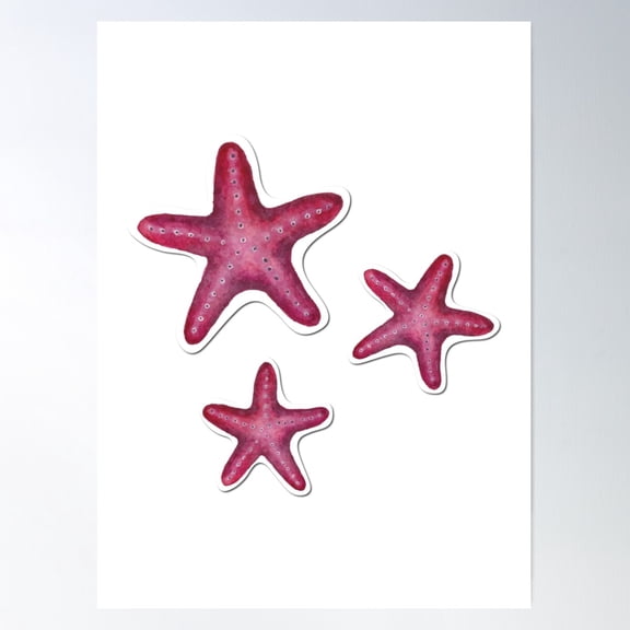 Red Starfish Poster Wall Art, Modern Wall Decor For Living Room Bedroom, 12x18 UNFRAMED