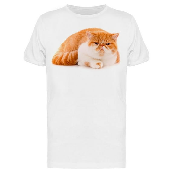 Red Tabby White Shorthair Cat T-Shirt Men -Image by Shutterstock, Male 3X-Large